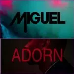 Miguel Adorn