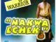 Dr Sir Warrior - Nakwa Echeki