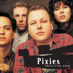 Pixies Where Is My Mind?
