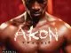 Akon - Trouble Nobody