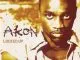 Akon - Locked Up