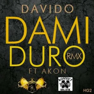 Davido - Dami Duro (Remix) [feat. Akon]