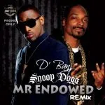 D'banj - Mr Endowed (Remix)  [feat. Snoop Dogg]