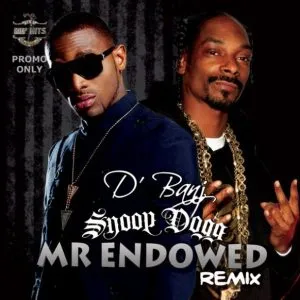 D'banj - Mr Endowed (Remix)  [feat. Snoop Dogg]