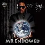 D'banj - Mr Endowed