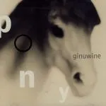 Ginuwine - Pony
