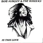 Bob Marley & the Wailers - Is This Love