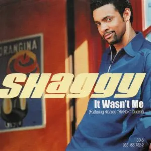 Shaggy - It Wasn't Me (ft. Rikrok)