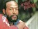 Marvin Gaye - Sexual Healing