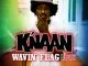 K'naan - Wavin' Flag (Remix)
