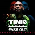 Tinie Tempah - Pass Out (Snoop Dogg Remix)