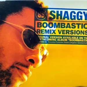 Shaggy - Boombastic (Sting Remix)