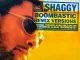 Shaggy - Boombastic (Sting Remix)
