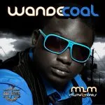 Wande Coal - Ololufe