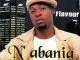 Flavour - Nwa Baby