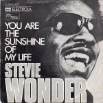 Stevie Wonder - You Are the Sunshine of My Life