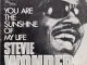 Stevie Wonder - You Are the Sunshine of My Life