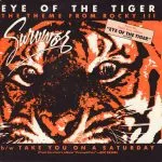 Survivor - Eye of the Tiger