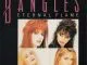 The Bangles - Eternal Flame