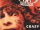 Aerosmith - Crazy
