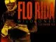 Flo Rida - Wild Ones