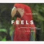 Calvin Harris - Feels