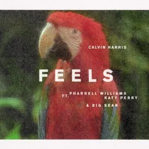 Calvin Harris - Feels