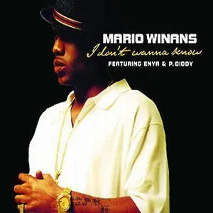 Mario Winans I Don’t Wanna Know (ft. Enya & P. Diddy)