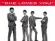 The Beatles She Loves You