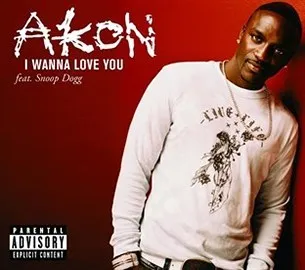 Akon – I Wanna Love You