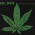 Dr Dre Nuthin but a G Thang (ft. Snoop Dogg)