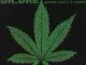 Dr Dre Nuthin but a G Thang (ft. Snoop Dogg)
