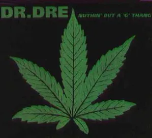 Dr Dre Nuthin but a G Thang (ft. Snoop Dogg)