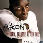 Akon Sorry Blame It on Me