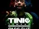 Tinie Tempah Pass Out + Snoop Dogg Remix