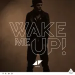 Avicii Wake Me Up