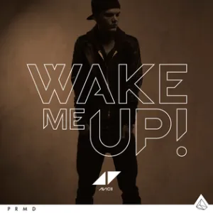 Avicii Wake Me Up