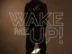 Avicii Wake Me Up