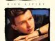 Rick Astley Never Gonna Give You Up