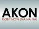 Akon Right Now (Na Na Na) + Remix