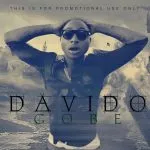Davido Gobe