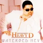 Heavy D Don't Be Afraid (ft. Big Dub)