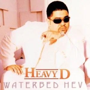 Heavy D Don't Be Afraid (ft. Big Dub)