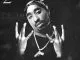 2Pac Dear Mama