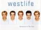 Westlife Seasons In The Sun