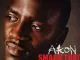 Akon Smack That (ft. Eminem)