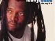 Lucky Dube The Way It Is