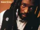 Lucky Dube Reggae Strong (Nobody Can Stop Reggae)