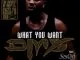 DMX What These Bitches Want (ft. Sisqó)