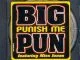 Big Punisher Punish Me